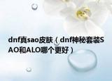 dnf真sao皮膚（dnf神秘套裝SAO和ALO哪個(gè)更好）