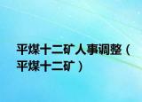 平煤十二礦人事調(diào)整（平煤十二礦）