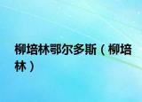 柳培林鄂爾多斯（柳培林）