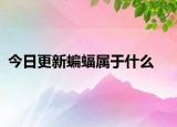 今日更新蝙蝠屬于什么