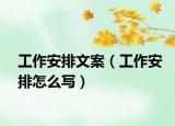 工作安排文案（工作安排怎么寫）