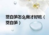 茭白筍怎么做才好吃（茭白筍）