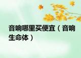 音響哪里買便宜（音響生命體）