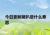 今日更新豬扒是什么意思