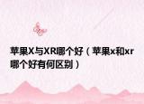 蘋果X與XR哪個好（蘋果x和xr哪個好有何區(qū)別）