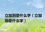 立加羽是什么字（立加羽是什么字）