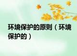 環(huán)境保護的原則（環(huán)境保護的）