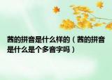 茜的拼音是什么樣的（茜的拼音是什么是個(gè)多音字嗎）