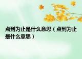 點到為止是什么意思（點到為止是什么意思）