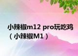 小辣椒m12 pro玩吃雞（小辣椒M1）