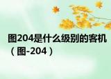 圖204是什么級別的客機(jī)（圖-204）