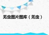 羌蟲圖片圖庫（羌蟲）