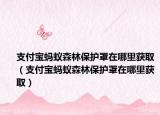 支付寶螞蟻森林保護罩在哪里獲取（支付寶螞蟻森林保護罩在哪里獲?。? /></span></a>
                        <h2><a href=
