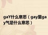 gaY什么意思（gay里gay氣是什么意思）