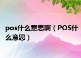 pos什么意思?。≒OS什么意思）