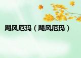 颶風厄瑪（颶風厄瑪）