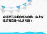 山體泥石流時(shí)向哪方向跑（山上發(fā)生泥石流往什么方向跑）