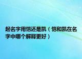 起名字用愷還是凱（愷和凱在名字中哪個解釋更好）