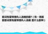 歌詞有愛恨情仇人消瘦的歌?（有一首新歌歌詞里有愛恨情仇人消瘦 是什么歌啊）