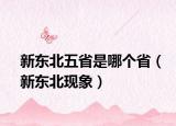 新東北五省是哪個(gè)?。ㄐ聳|北現(xiàn)象）
