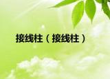 接線柱（接線柱）