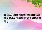 物是人非事事休欲語淚先流什么意思（物是人非事事休,欲語淚先流意思）