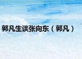 郭凡生談張向東（郭凡）