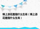 錦上添花是指什么生肖（錦上添花是指什么生肖）
