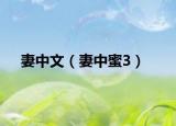 妻中文（妻中蜜3）