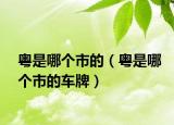 粵是哪個市的（粵是哪個市的車牌）