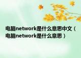 電腦network是什么意思中文（電腦network是什么意思）