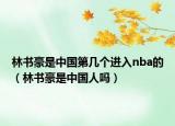 林書(shū)豪是中國(guó)第幾個(gè)進(jìn)入nba的（林書(shū)豪是中國(guó)人嗎）