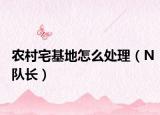 農(nóng)村宅基地怎么處理（N隊(duì)長(zhǎng)）