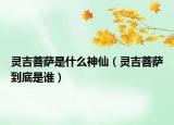 靈吉菩薩是什么神仙（靈吉菩薩到底是誰）