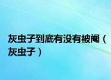 灰蟲(chóng)子到底有沒(méi)有被閹（灰蟲(chóng)子）