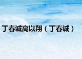 丁春誠(chéng)高以翔（丁春誠(chéng)）