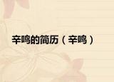 辛鳴的簡(jiǎn)歷（辛鳴）