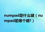 numpad是什么鍵（numpad是哪個鍵?）