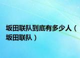 坂田聯(lián)隊(duì)到底有多少人（坂田聯(lián)隊(duì)）