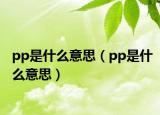 pp是什么意思（pp是什么意思）