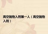高空拋物入刑第一人（高空拋物入刑）