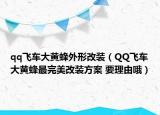 qq飛車大黃蜂外形改裝（QQ飛車大黃蜂最完美改裝方案 要理由哦）