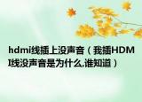 hdmi線插上沒(méi)聲音（我插HDMI線沒(méi)聲音是為什么,誰(shuí)知道）