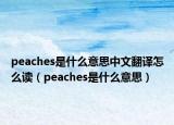 peaches是什么意思中文翻譯怎么讀（peaches是什么意思）