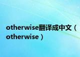 otherwise翻譯成中文（otherwise）