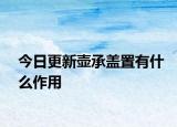 今日更新壺承蓋置有什么作用