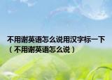 不用謝英語(yǔ)怎么說(shuō)用漢字標(biāo)一下（不用謝英語(yǔ)怎么說(shuō)）