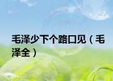 毛澤少下個(gè)路口見(jiàn)（毛澤全）