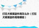 打狂犬疫苗副作用怎么辦（打狂犬疫苗副作用有哪些）