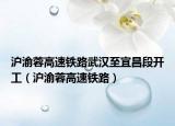 滬渝蓉高速鐵路武漢至宜昌段開(kāi)工（滬渝蓉高速鐵路）